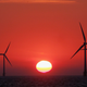 The sun starts to rise behind an offshore wind farm off the Great Yarmouth coastline.
